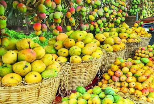 बेमेतरा में दो दिवसीय आम महोत्सव का आयोजन 3-4 जून को