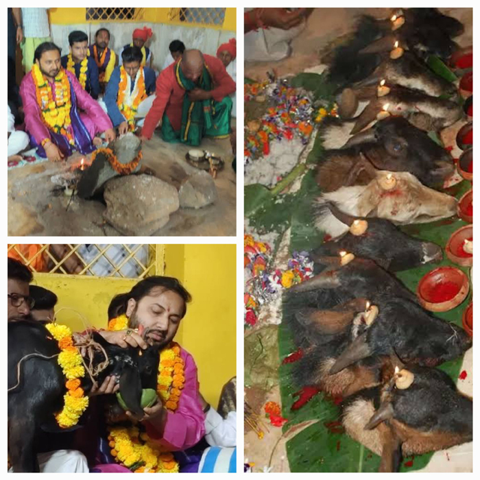 बस्तर दशहरा के निशा जात्रा रस्म में अर्धरात्री 12 बजे मां खमेश्वरी मंदिर में दी जायेगी 11 बकरों की बलि