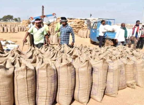 छत्तीसगढ़ में 15 नवंबर से होगी धान खरीदी, 60 लाख मीट्रिक का लक्ष्य, प्रति क्विंटल 31 सौ का होगा भुगतान