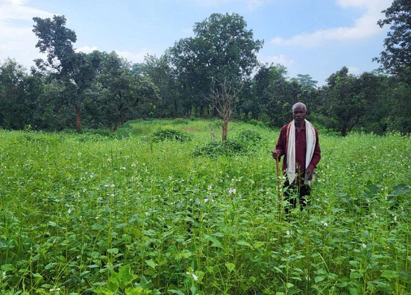 सरकारी योजनाओं और उन्नत कृषि तकनीकों से महावीर पुषाम की आय हुई दोगुनी