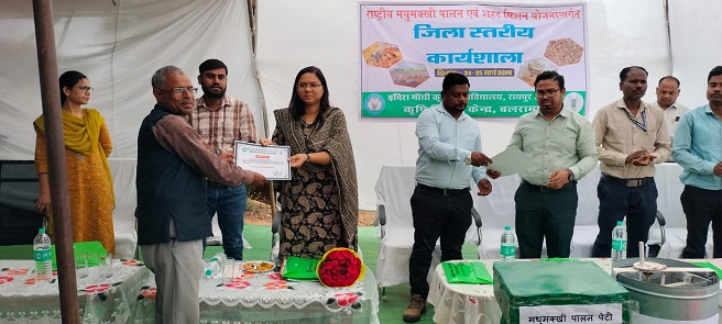 खेती के साथ ‘मीठी क्रांति’ से बदलेगी किस्मत, मधुमक्खी पालन से 25% तक बढ़ेगी किसानों की आय