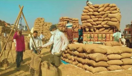 बस्तर के 79 केंद्रों में जमा धान उठाने के लिए जीरो वेस्टेज मिशन का तय किया लक्ष्य