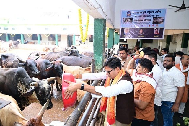 जन्मदिवस के अवसर पर वित्त मंत्री ओपी चौधरी ने की गौ-सेवा, संरक्षण के प्रयासों को सराहा