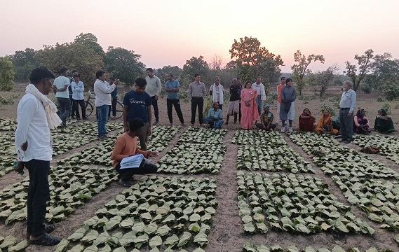 साय सरकार के सुशासन में तेन्दूपत्ता संग्राहकों को मिली आर्थिक मजबूती, 10,160 हितग्राहियों के खातों में पहुँची 1.39 करोड़ रुपये से अधिक की बोनस राशि