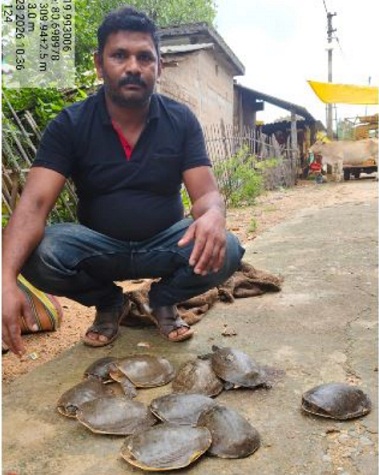 कांकेर: पखांजूर बाजार में वन विभाग की बड़ी कार्रवाई, 11 जिंदा कछुओं के साथ तस्कर गिरफ्तार