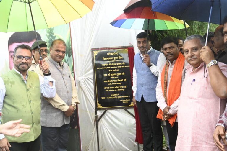 बिलासा ताल में बना आकर्षक वुडन ब्रिज, पर्यटन सुविधाओं को मिला नया आयाम