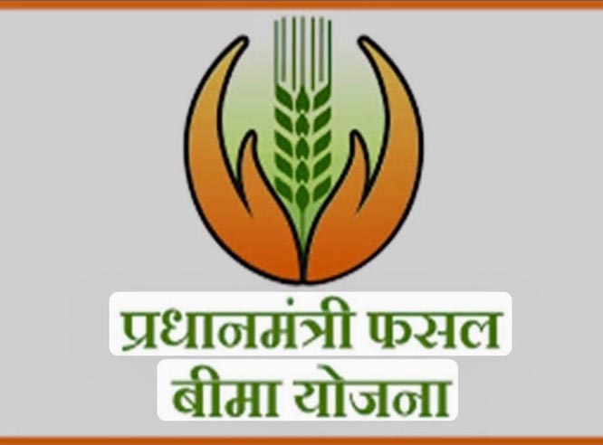 प्रधानमंत्री फसल बीमा की तिथि में हुई वृद्धि, अब 14 अगस्त तक करा सकेंगे बीमा