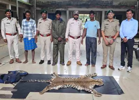 नारायणपुर में वन्यजीव तस्करों पर वन विभाग का बड़ा स्ट्राइक: तेंदुए की खाल के साथ 3 गिरफ्तार, जेल भेजे गए