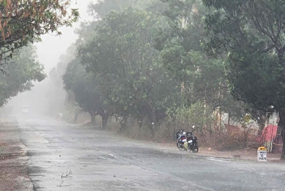 छत्तीसगढ़ में मानसून का ‘सुपर एक्शन’: बंगाल की खाड़ी के सिस्टम से बदला मौसम, रायपुर समेत कई जिलों में भारी बारिश का अलर्ट