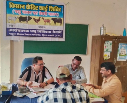 पशुपालन केसीसी से धमतरी के ग्रामीण आजीविका को मिली नई उड़ान: 93 पशुपालकों को ₹98.62 लाख की वित्तीय संजीवनी