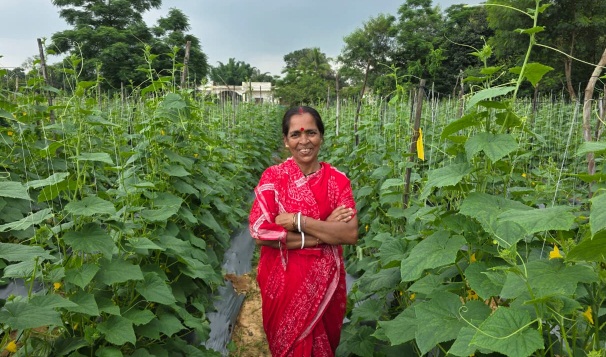 बिहान से बहनों को मिला आर्थिक संबल, खीरे की खेती से सुभद्रा मंडल ने लिखी आत्मनिर्भरता की नई कहानी