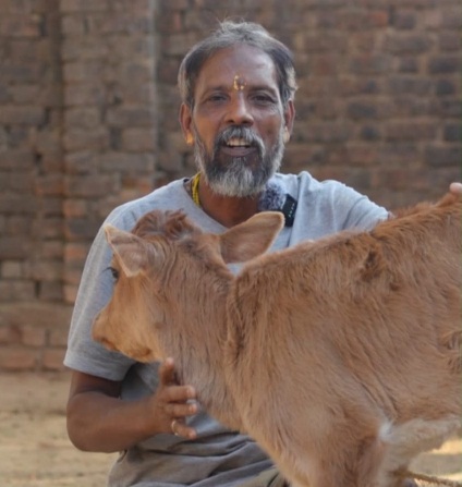 गौपालन बना मधुसुदन भगत की मजबूत आय का साधन