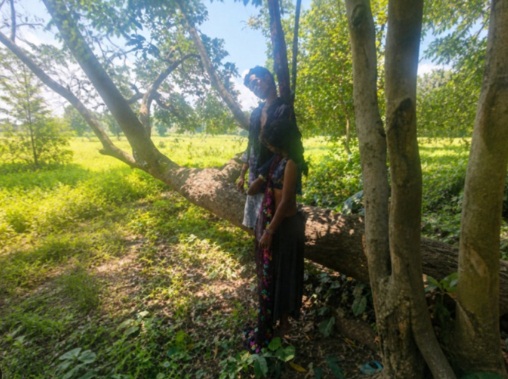 कोरबा के अरतेरा जंगल में एक ही फंदे से लटके मिले युवक-युवती के शव; प्रेम प्रसंग की आशंका, जांच में जुटी पुलिस