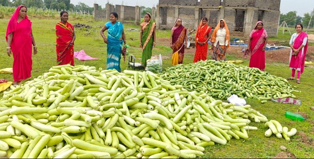 अतिक्रमण से आत्मनिर्भरता तक: सुखापाली में 25 एकड़ बंजर भूमि बनी समृद्धि का केंद्र, 14 महिलाएं ‘लखपति दीदी’ बनने की ओर अग्रसर