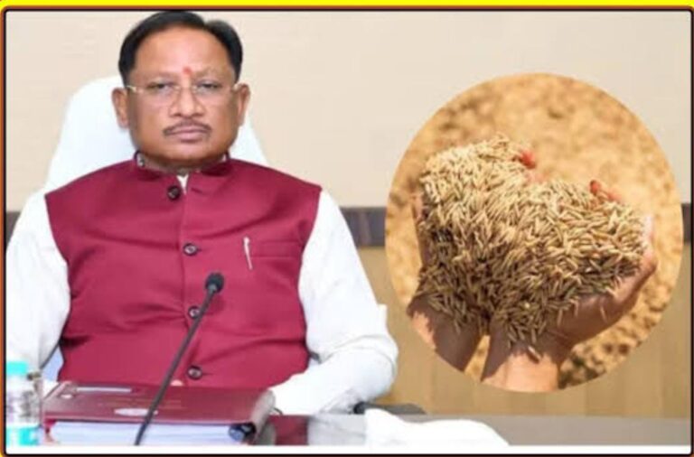 15 नवम्बर से शुरू होगी धान खरीदी, 27.50 लाख से अधिक किसानों से ₹3100 प्रति क्विंटल की दर से खरीदा जाएगा धान