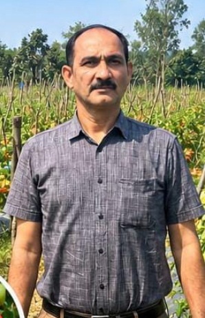 उन्नत टमाटर की खेती से शाहिद की मेहनत लाई रंग, 2 एकड़ में कमाए 1.20 लाख रुपये