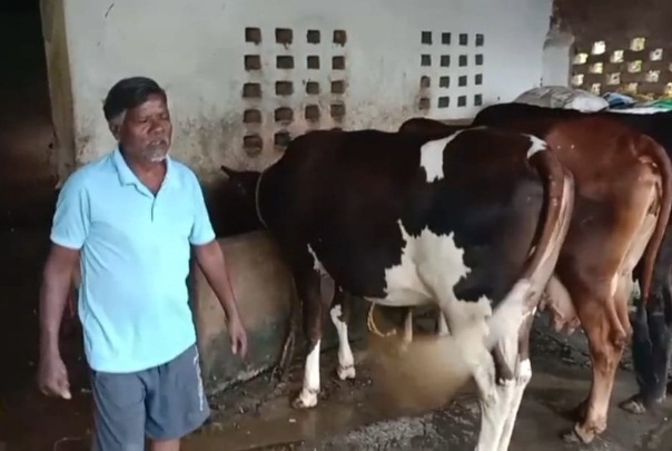 एक गाय से शुरू हुआ सफर, आज 10 पशुओं का समृद्ध पशुधन