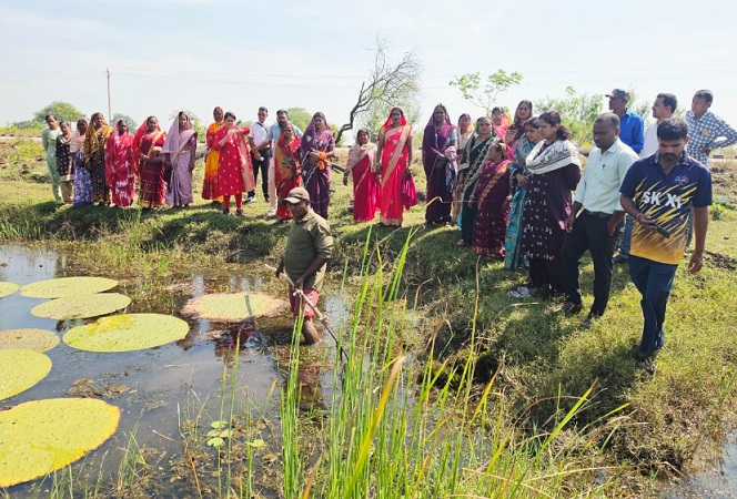 मखाना की खेती से आत्मनिर्भरता की ओर बढ़ रहीं धमतरी की महिलाएं