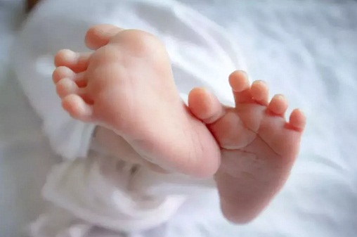 गोबरा नवापारा में सनसनी: आयुष्मान अस्पताल के सामने नाली से नवजात का भ्रूण बरामद, पुलिस खंगाल रही सीसीटीवी फुटेज